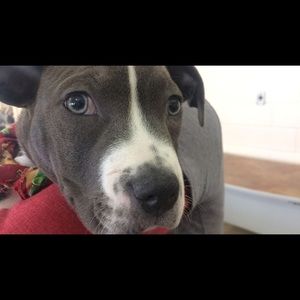 Meet your Posher, Sage